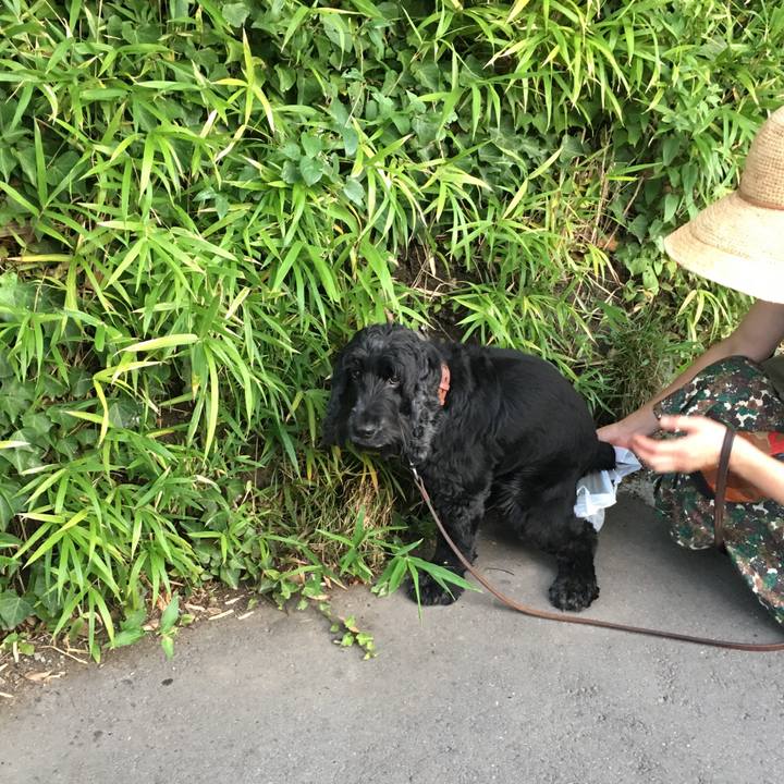 Fe5aee9b f91f 4a64 bf0d 7814f5be983d