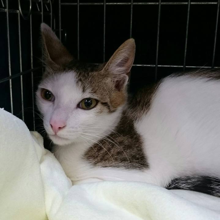 Fe5b7a6f 7021 4ee8 90c4 9c911c9467ca