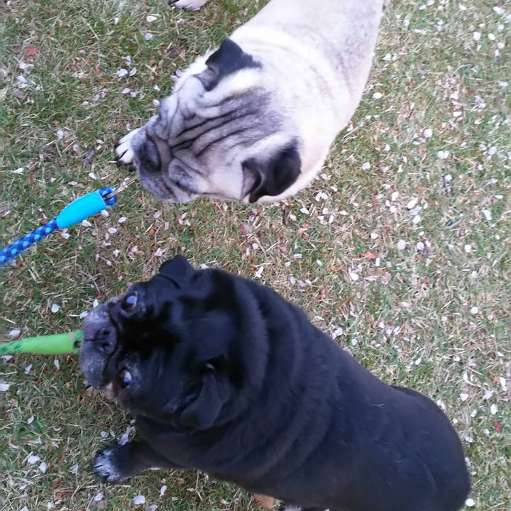 Fe5ba862 8299 4bbf 854b 761e3bc3fbf1