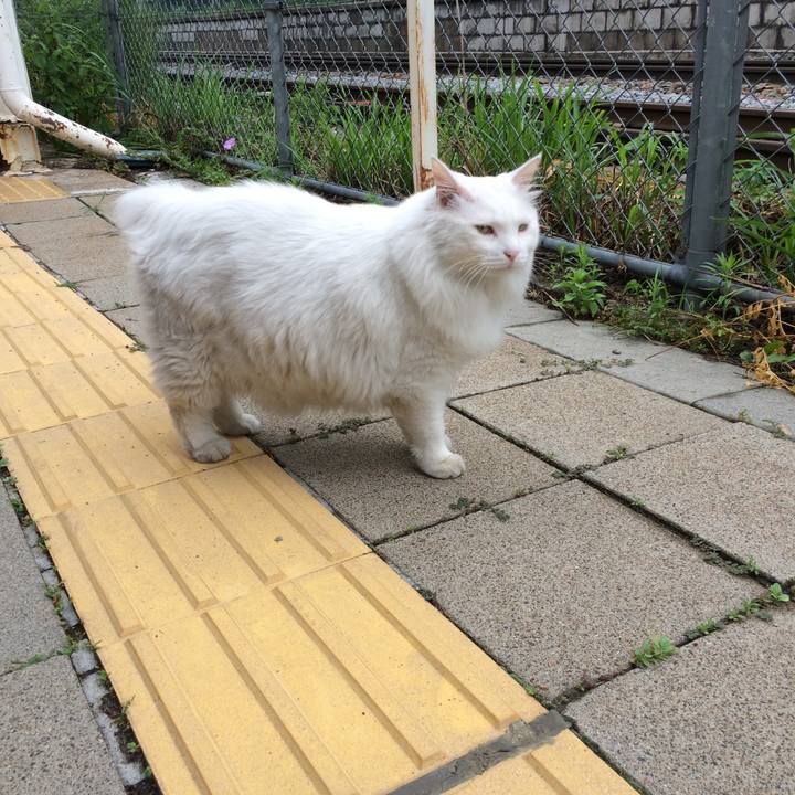 Fe5c04fb c9c1 4c4d 9e9f daaaee42419c