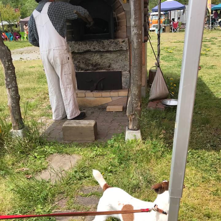 Fe5c4f27 2fb4 46fb afbb 78c06f1c5c6d