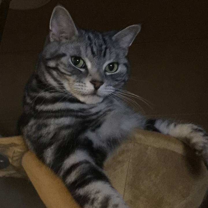 Fe5c986e 5540 4bed a565 745e0dba23f2