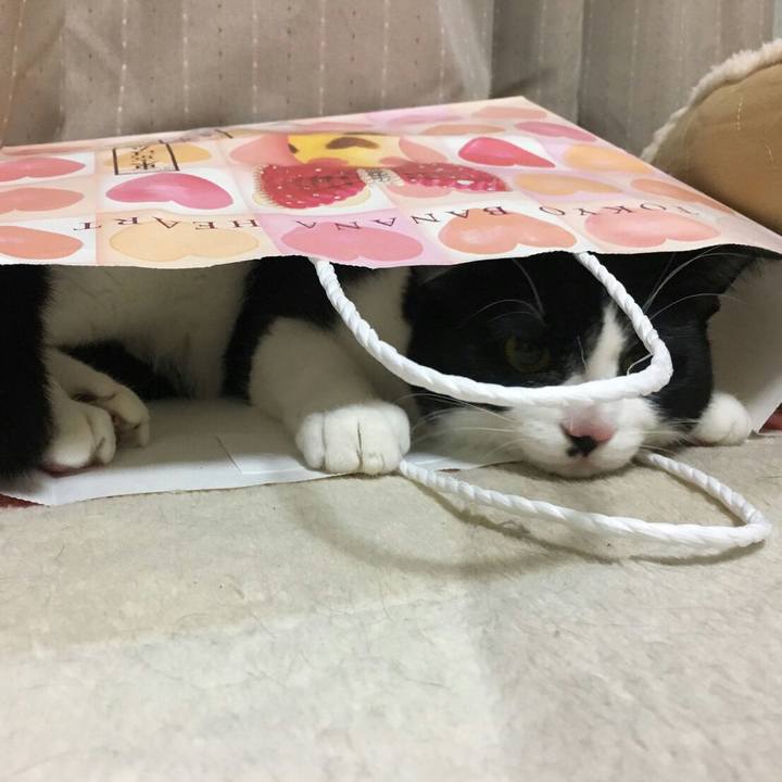 Fe5ca79c a20b 4cc5 b5e6 61bb11e6e0bf