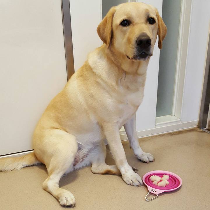 Fe5d78c6 8544 4dd4 819e eb79c8bc501a