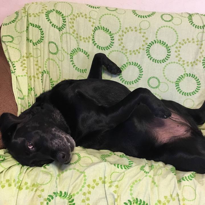 Fe5d986d 4813 4760 87c3 ccb9ee0bd5c2