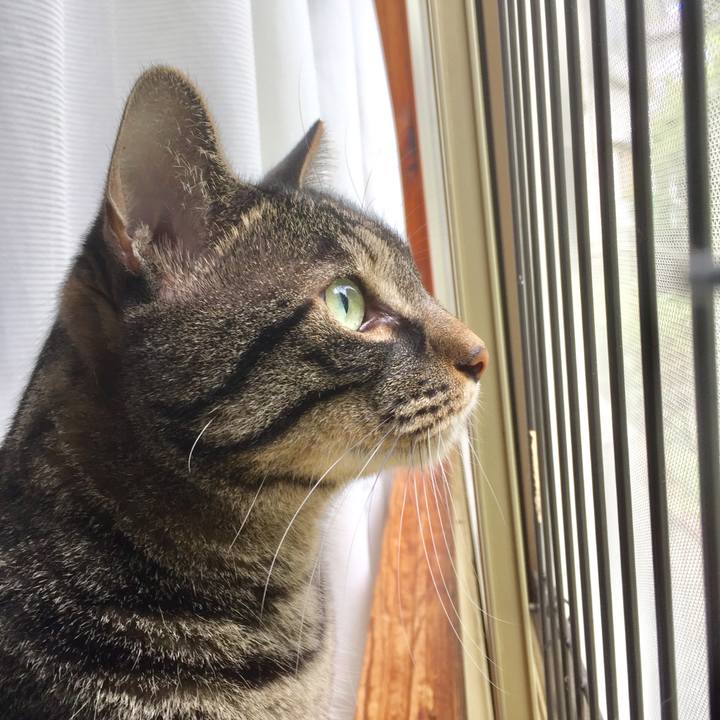 Fe5d9b1f 6850 4d6d 8e07 8363bd5c2636