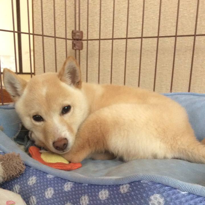 Fe5d9bc6 c5ef 49bb bf6b a9dbdeb26349