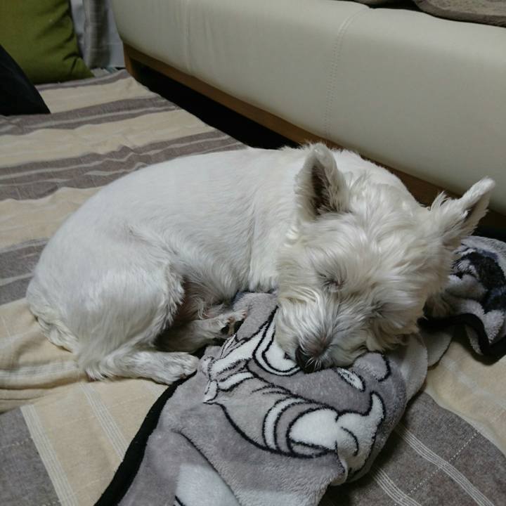 Fe5e3171 f855 4d2a 96da 668feb0de062