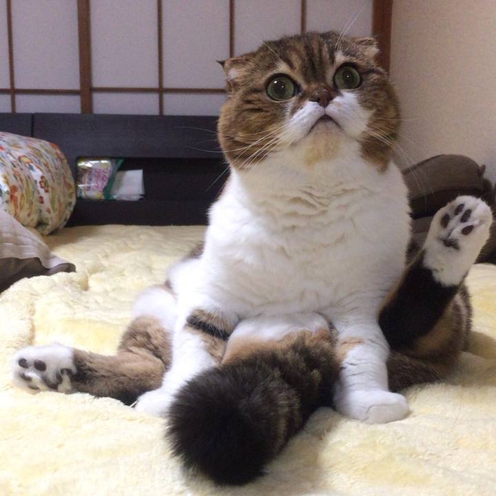 Fe5ec80c 37e9 4a60 9cb6 752713df0eb5