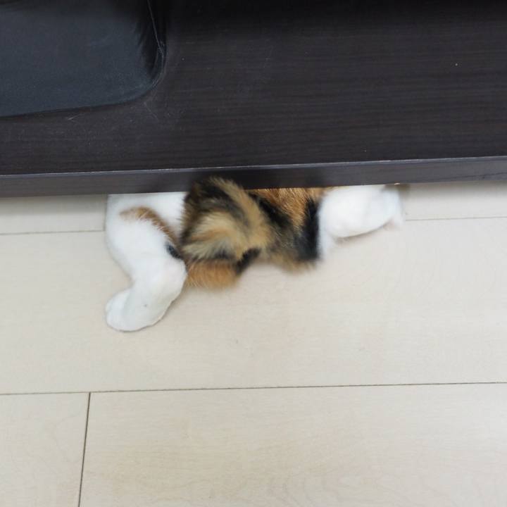 Fe5f30aa 9ec8 4311 8c64 bd968ccbbf8b