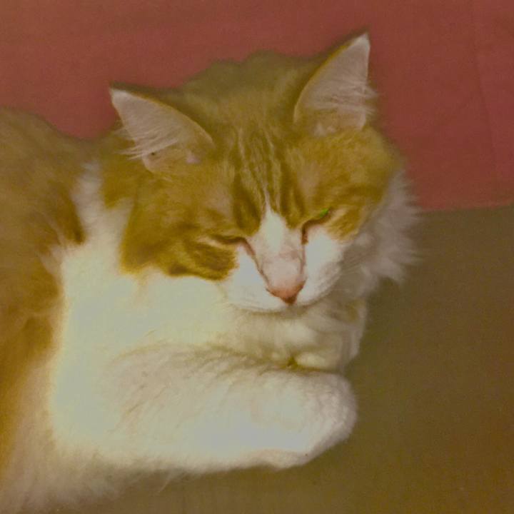 Fe5f53eb ad4a 4137 8ca1 dbcd13754d7b