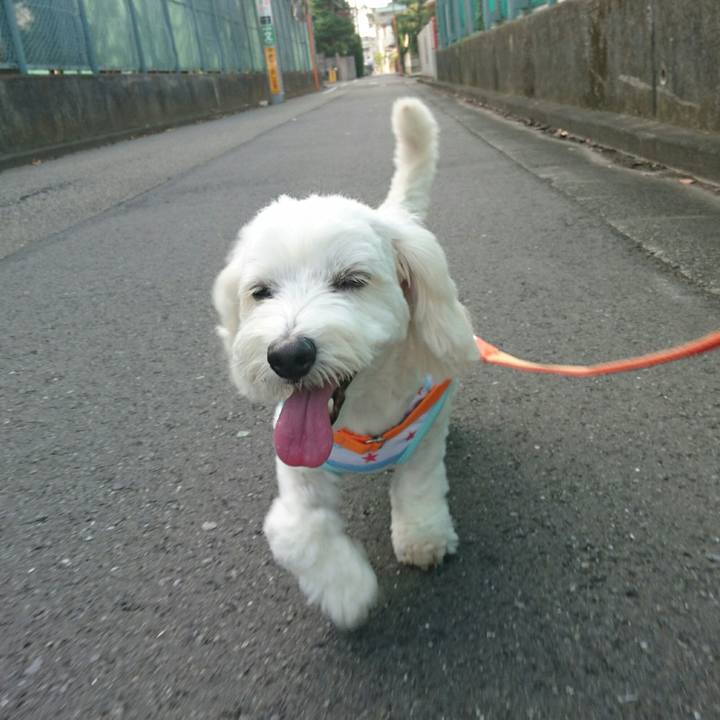 Fe5fbd52 b2e5 4961 a5d4 c6a4a97658fa