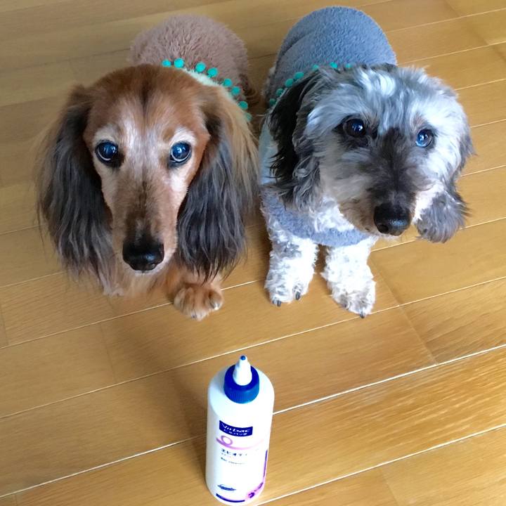 Fe606cc2 4fa5 4806 a276 f3fa9239ded4