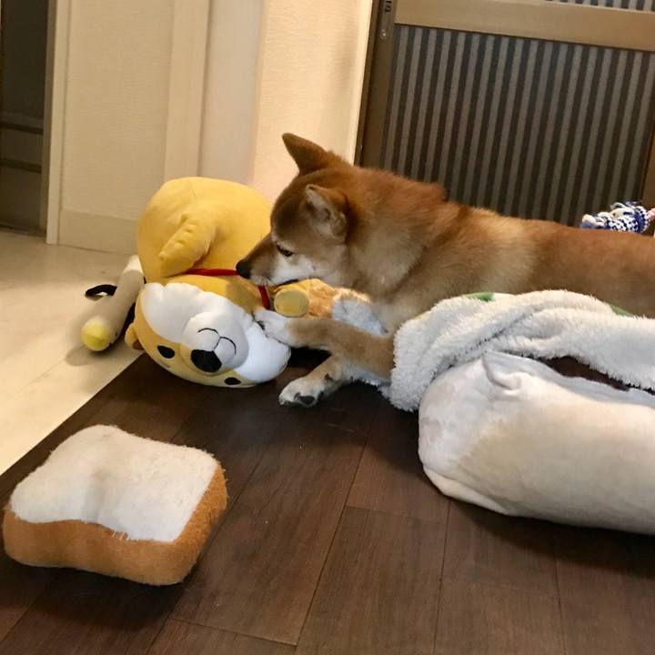 Fe607f8c 37a7 495c b195 2f5e13b188cd