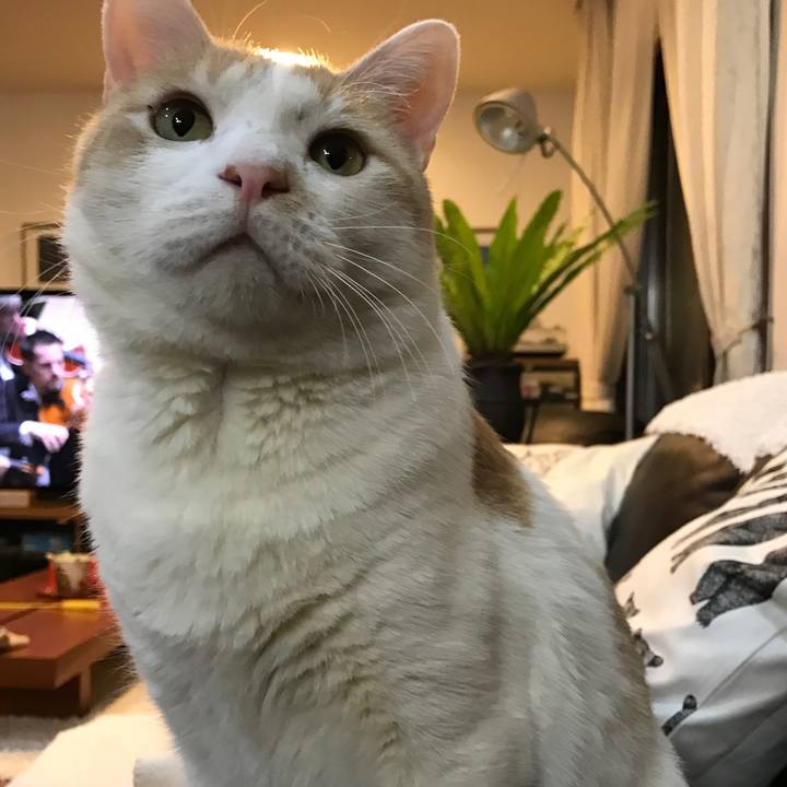 Fe608ed5 4b5f 4015 8dba 9ab9e0252ed8