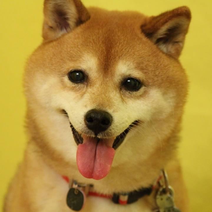 Fe6090ca eef9 40fd 87de 6b86b92a44f7