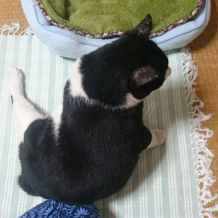 Fe60a7d1 ad06 4a1f 9864 77e98a3b488d