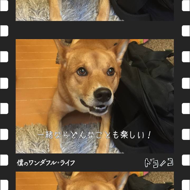 Fe615ca1 2899 413a af10 e6e815cafbd7