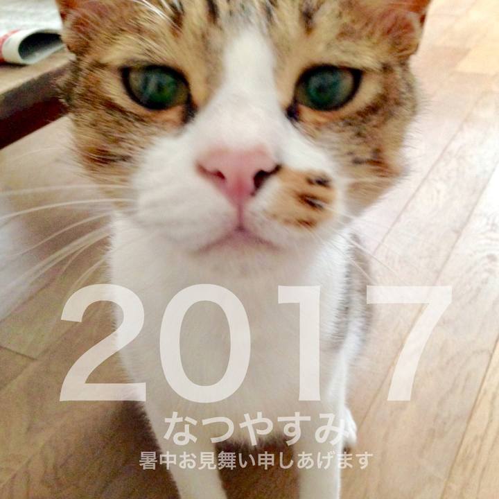 Fe61bc71 1880 4c84 ab90 776fb95b5acf