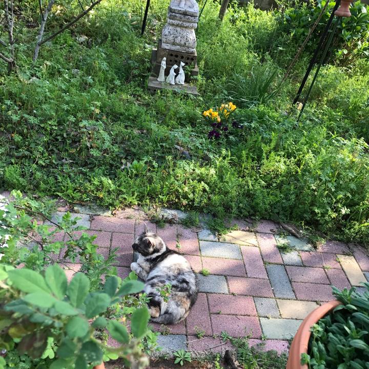 Fe6225a9 18b6 4b98 9cb0 61c0b9a89de9