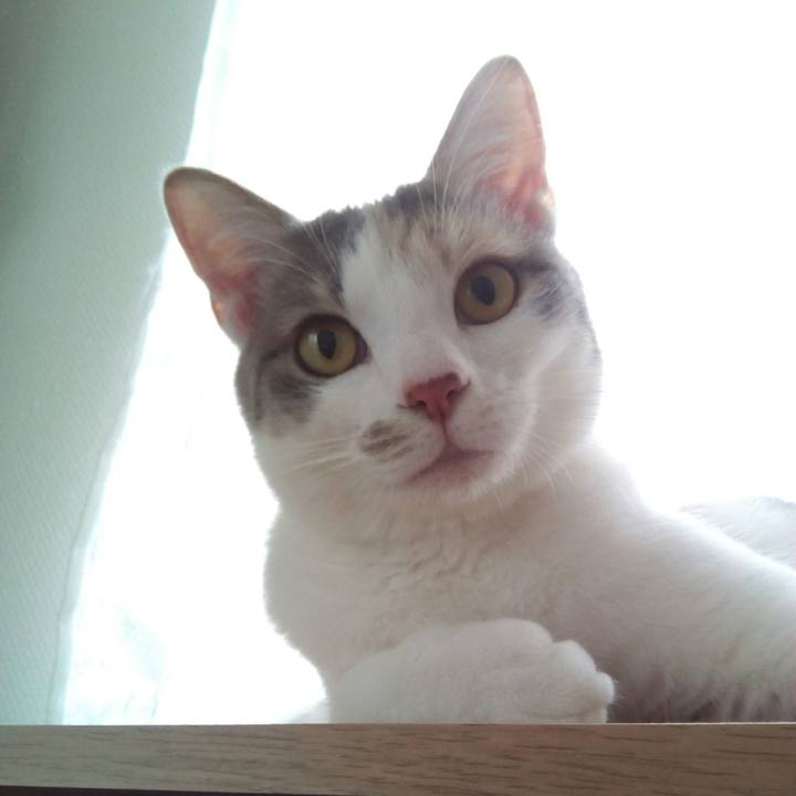 Fe623115 628c 40d9 a1b1 26bdd3b2940f