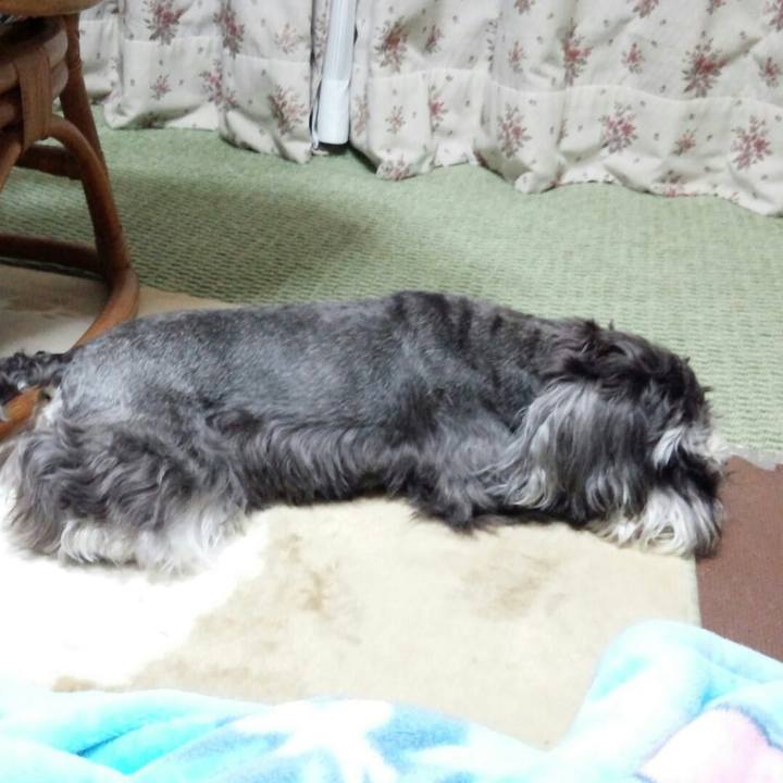 Fe624045 8ccd 422b 84dc 40ca1ec14640