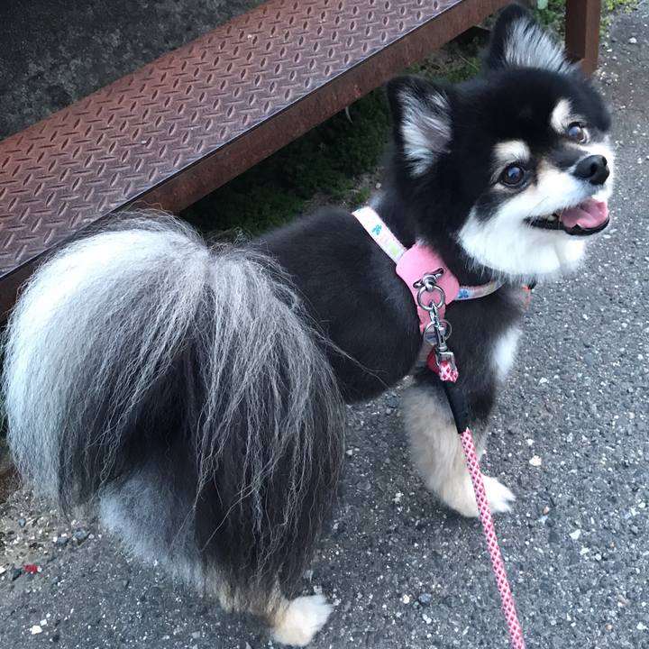 Fe626a2c 4386 4cb8 a783 c52fa88e1db1