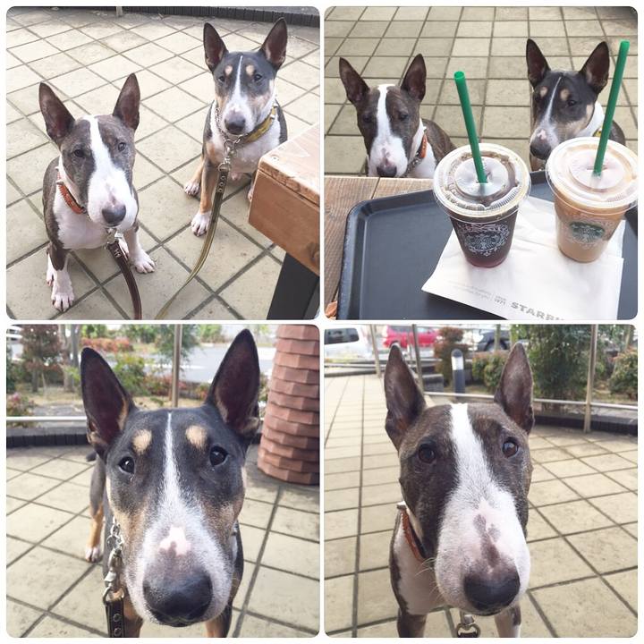 Fe62b01f 7323 4017 9838 c6a185608217