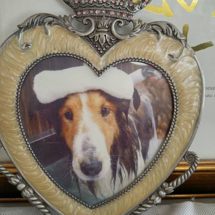 Fe62befa a135 4e3a 8e69 0740b375ddb8