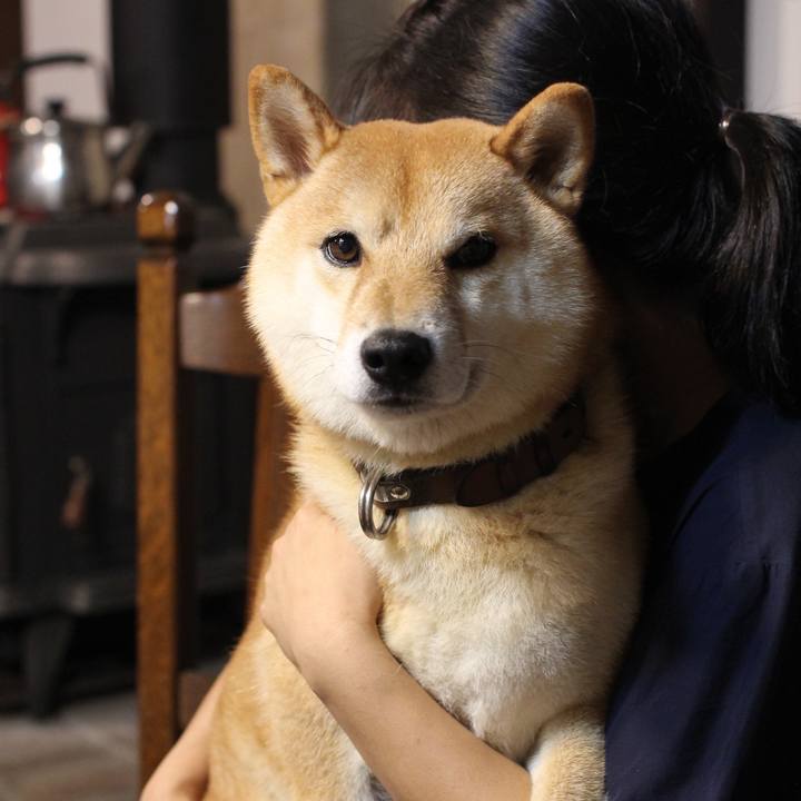 Fe64369b 5407 42b6 975f 9fdbeefee2d8