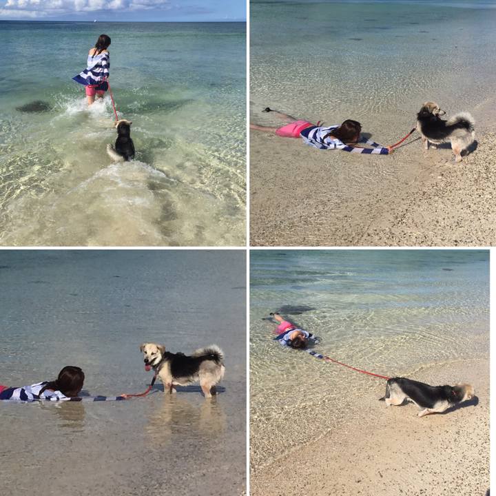 Fe64397c 1be4 4be8 ba2f b14e4b3c9e9a