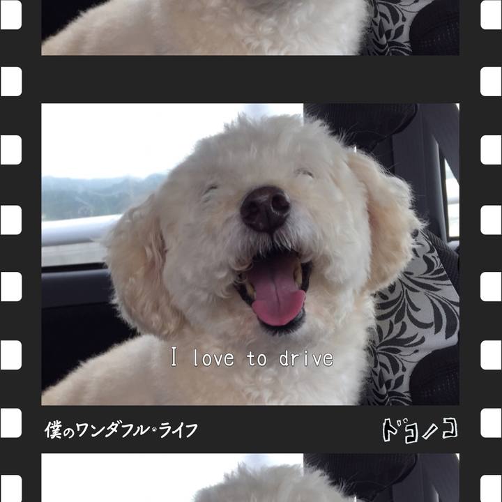 Fe646d82 1b4c 4c02 8a7a d2137bf7a7e1