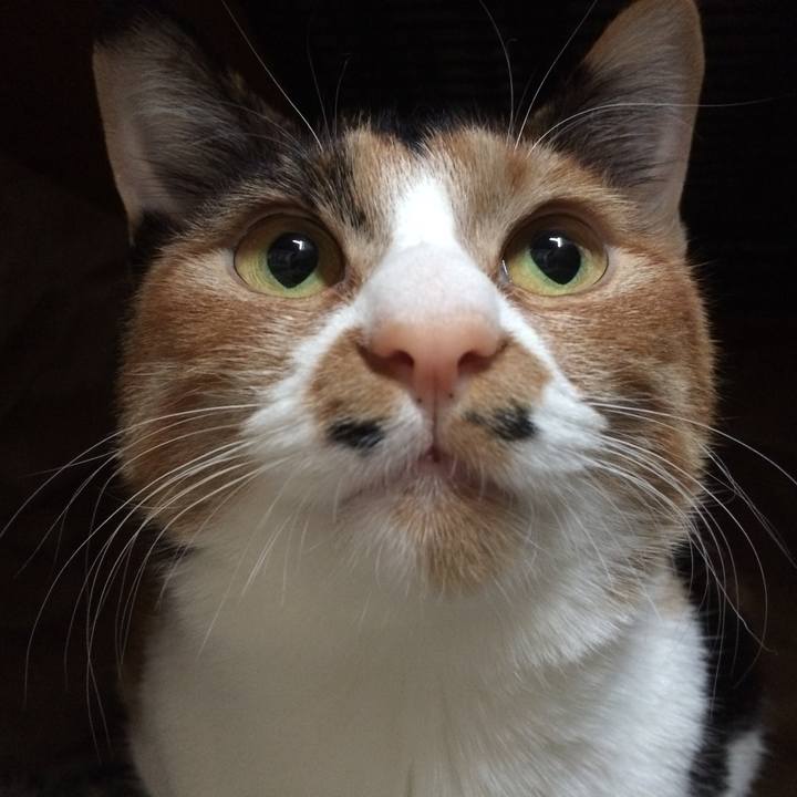 Fe65a99e 496e 4c3e 8b69 4f888efb2138