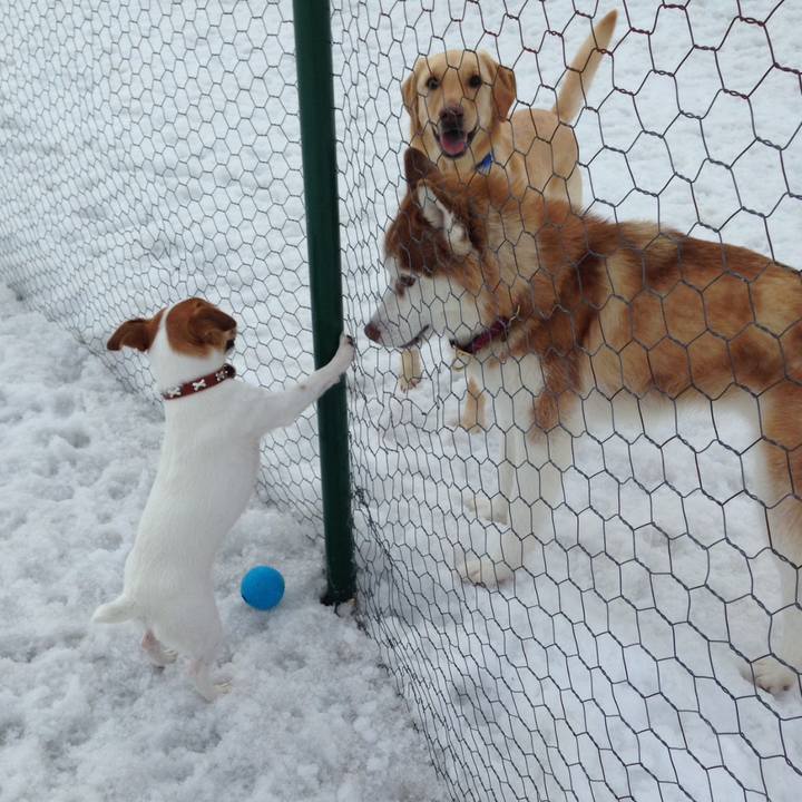 Fe65de20 50a0 4192 b74e d45589f749b9