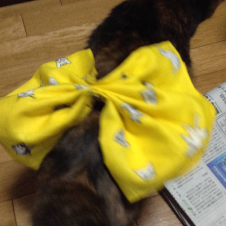 Fe661977 a444 4ff5 be7d 00804ebd0882