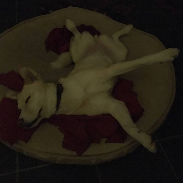 Fe66cea2 9aae 4baa 95b2 e704b9f1a2c0