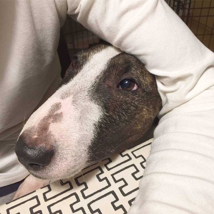 Fe66f779 00fd 4867 849d 15d4352b65df