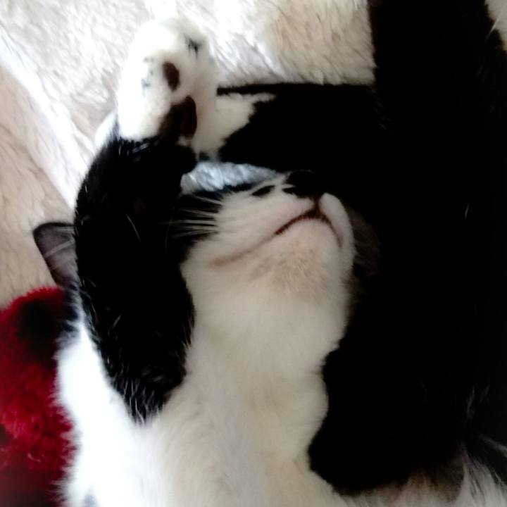 Fe66fe61 de93 4e53 ac37 92f6f9563934