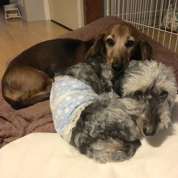 Fe6740e0 cbee 4012 90cc 498746f4bce6