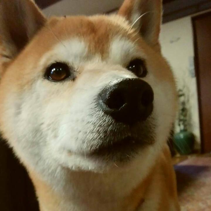 Fe674eb5 0a95 49a0 86c2 9187e9bddb03