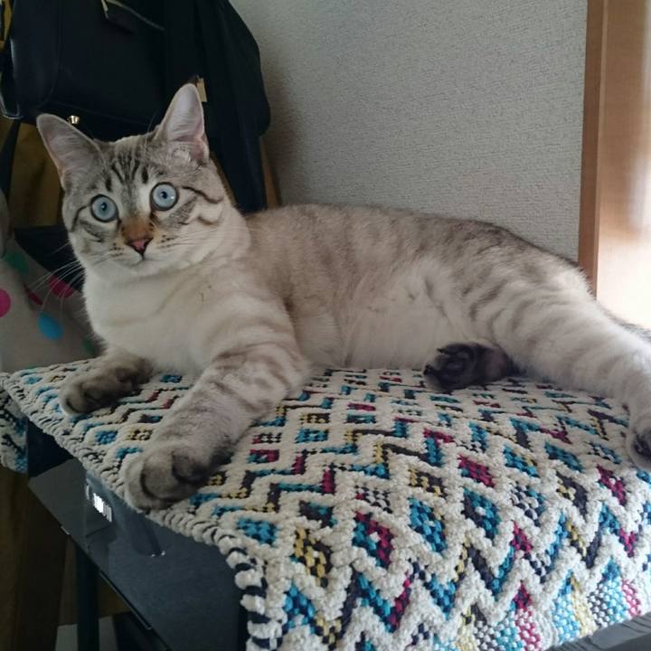 Fe67bc03 3df9 4e4f a556 d69bc32ed6ed