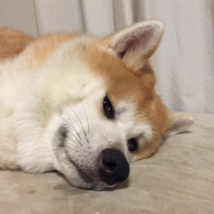 Fe684b71 6337 4987 ab41 3fedfd9424e4