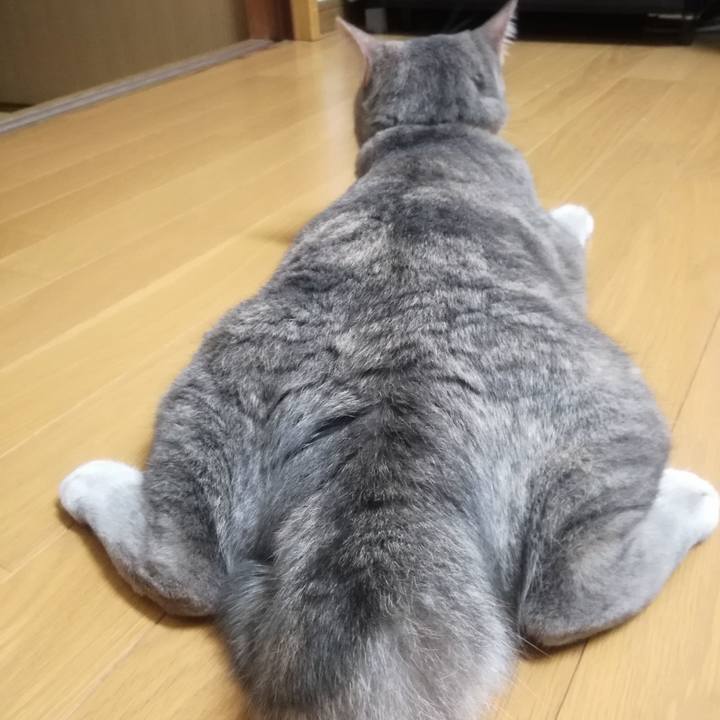 Fe684db6 b426 4677 9722 84de56797604