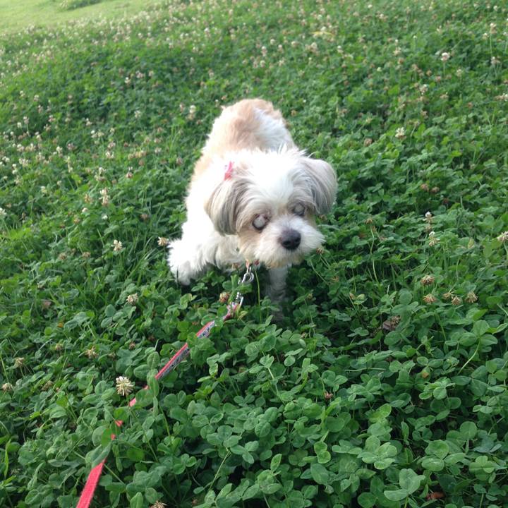 Fe689071 625e 46d3 9354 ca7c5d60066e