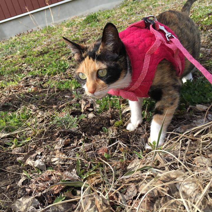 Fe692e14 3cd6 4c2f 8e98 a801778e395c