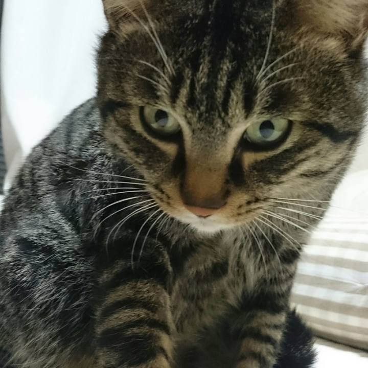 Fe695c3c 9dad 4133 b899 825c818cb7fb