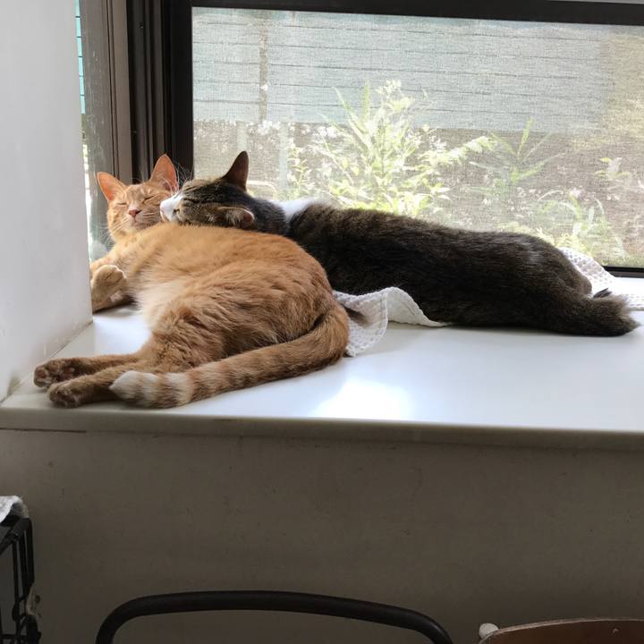 Fe697308 4ea0 4045 9ba3 fac8ba3a6bfa