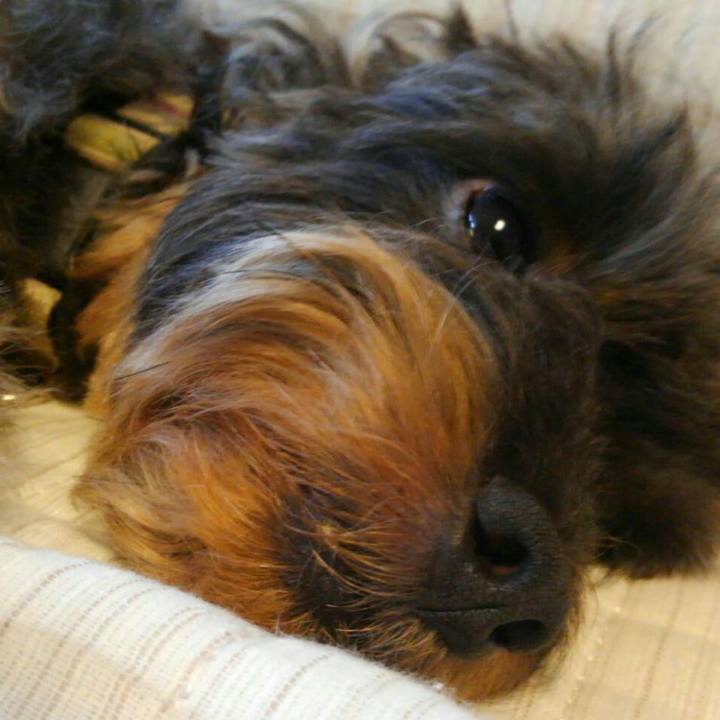 Fe69a3ad 7c52 4c90 ac6a 4ddcafa85123