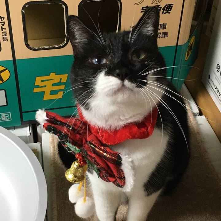 Fe69f835 a15e 4b8a ae54 51d1aef1b63d