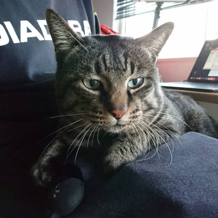 Fe6a1be5 5ec5 426f 8283 fe74e2c3d030